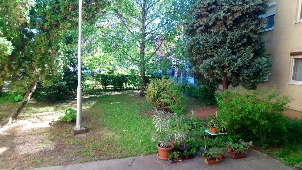 Sziget Apartman Eger Extérieur photo